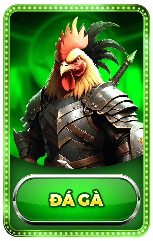 6ff đá gà