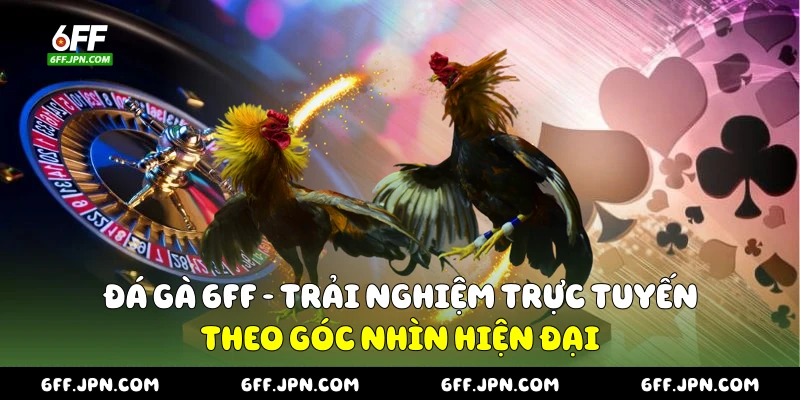 đá gà 6FF