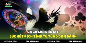 Đá gà cựa dao
