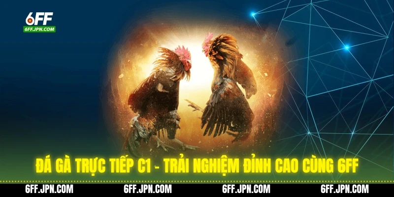 Đá Gà Trực Tiếp C1