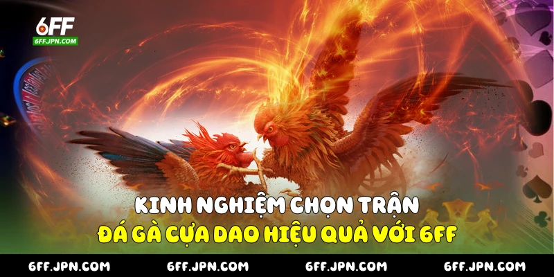 Kinh nghiệm chọn trận đá gà cựa dao hiệu quả với 6FF