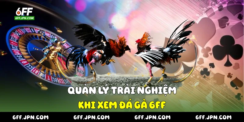 Quản lý trải nghiệm khi xem đá gà 6FF