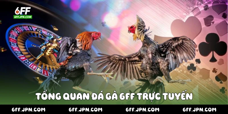 Tổng quan đá gà 6FF trực tuyến