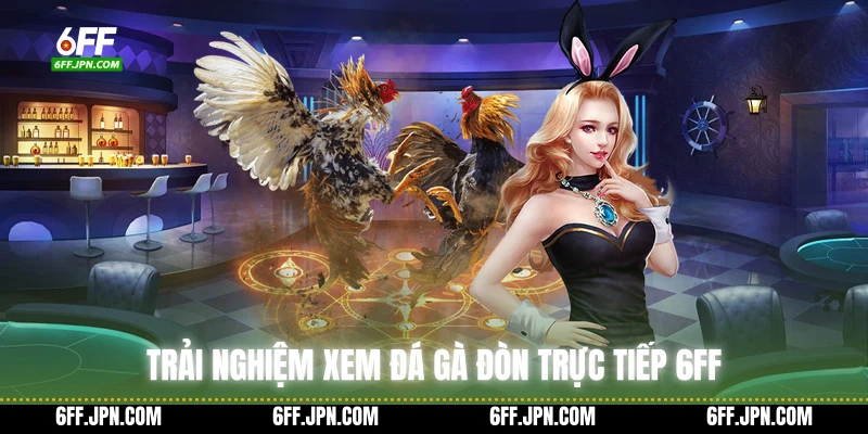Trải nghiệm xem đá gà đòn trực tiếp 6FF